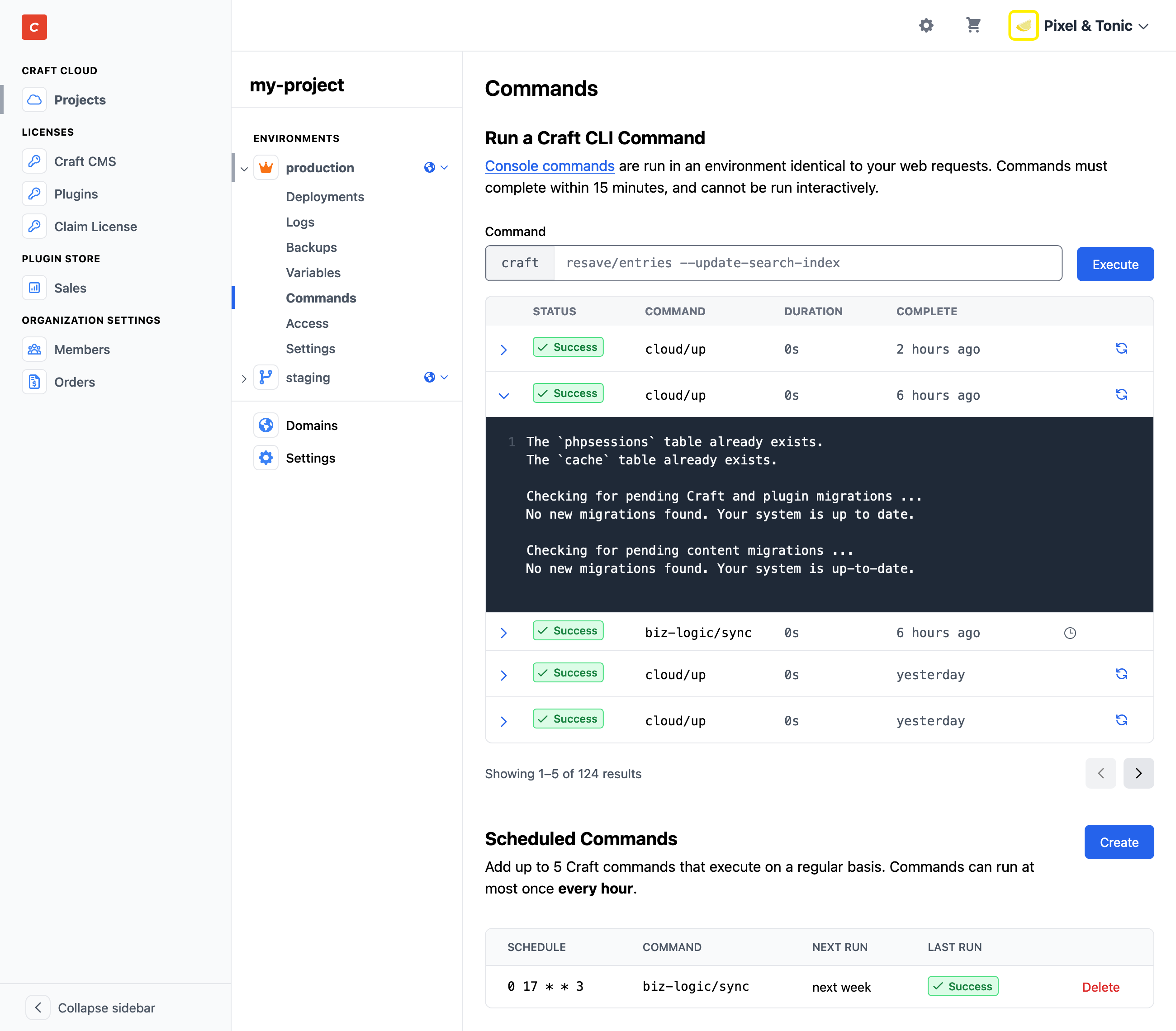Screenshot of the commands screen in Craft Console, showing logs for a completed command.
